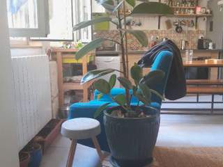 Sous-location / Appartement 4 pièces de 71 m², Marseille, Rue Rouviere