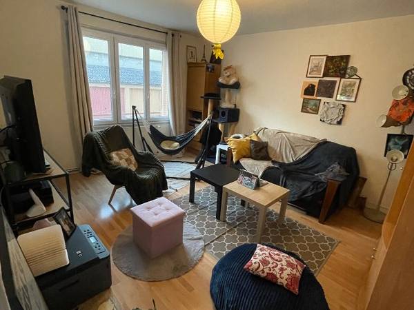 Colocation / Appartement 3 pièces de 54 m², Villeurbanne, Rue Château Gaillard / Photo 2