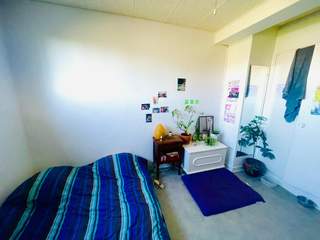 Colocation / Appartement 2 pièces de 77 m², Toulouse, Rue du Faubourg Bonnefoy