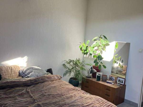 Colocation / Appartement 3 pièces de 65 m², Marseille, Rue Pommier / Photo 6