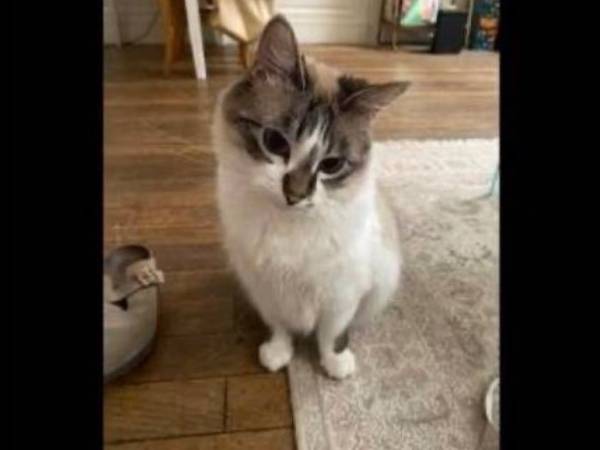 Colocation / Appartement 3 pièces de 93 m², Lyon, Rue Sainte-Marie-Des-Terreaux / Photo 7