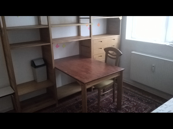 Colocation / Appartement 4 pièces de 107 m², Bischheim / Photo 3