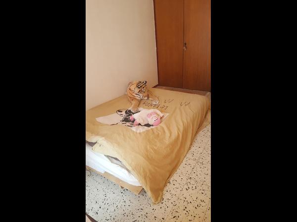 Chambre chez l'habitant / Appartement 3 pièces de 83 m², Montpellier, Place Utrillo / Photo 2