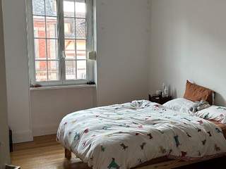 Colocation / Appartement 3 pièces de 92 m², Strasbourg, Rue Specklin