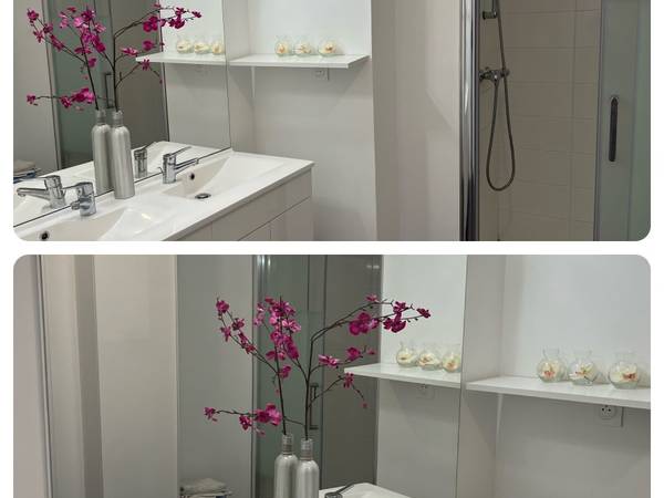 Colocation / Appartement 5 pièces de 111 m², Lille, Rue Georges Clemenceau (Lille) / Photo 2