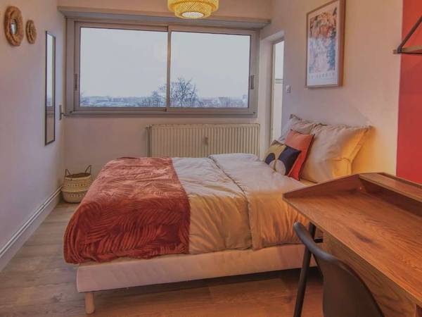 Colocation / Appartement 6 pièces de 103 m², Colmar, Rue du Ladhof / Photo 4