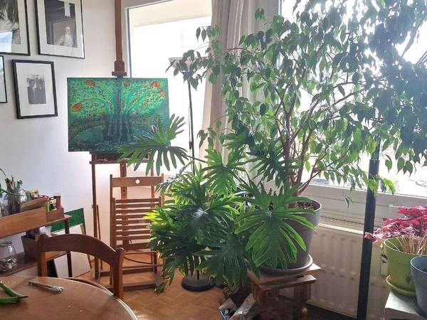 Chambre chez l'habitant / Appartement 1 pièce de 16 m², Ixelles / Photo 2