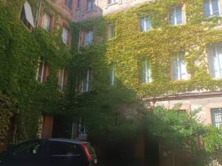 Room share / 3 rooms apartment · 55 m², Toulouse, Rue du Taur
