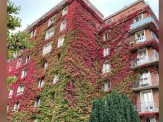 Colocation / Appartement 3 pièces de 65 m², Paris, Rue George Eastman