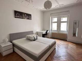 Colocation / Appartement 7 pièces de 165 m², Strasbourg, Rue Stimmer