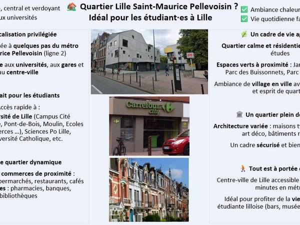 Colocation / Appartement 4 pièces de 80 m², Lille, Rue Saint-Luc / Photo 15