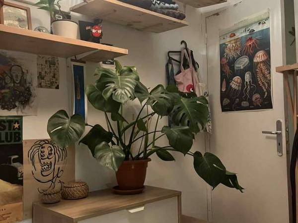 Sous-location / Appartement 3 pièces de 50 m², Marseille, Rue André Poggioli / Photo 6