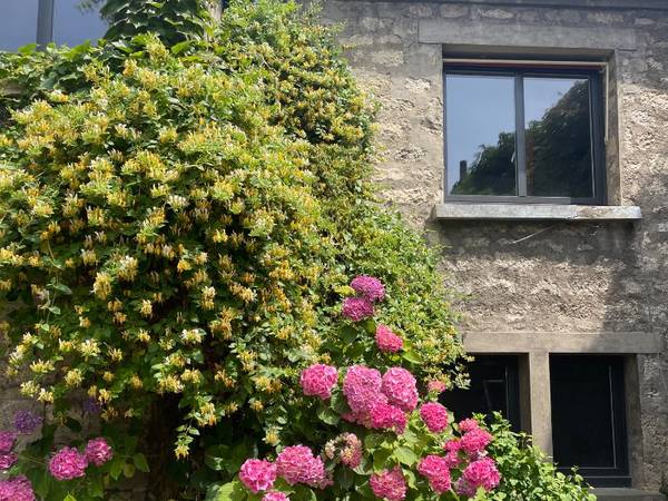 Coliving / Maison 10 pièces de 400 m², Villejuif, Rue Jean Jaurès / Photo 8