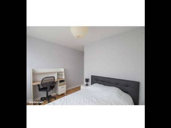 Colocation / Appartement 4 pièces de 86 m², Angers, Rue d'Orgemont / Photo 2