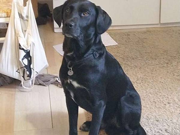 Sous-location / Appartement 7 pièces de 100 m², Montpellier, Rue de Las Sorbes / Photo 8