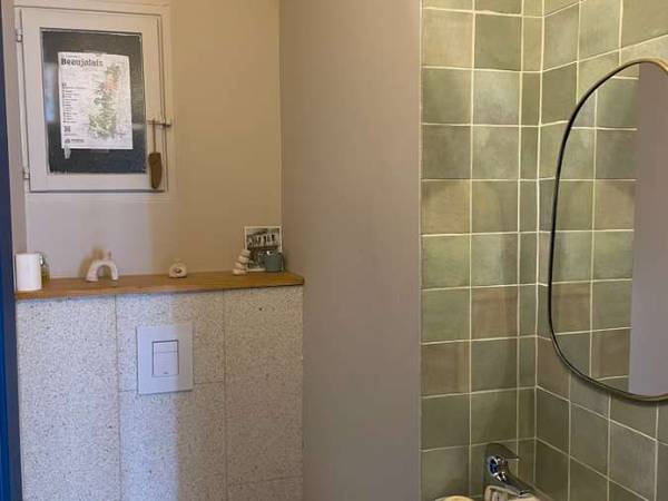 Colocation / Appartement 5 pièces de 110 m², Lyon, Rue Commandant Charcot / Photo 9