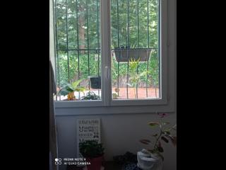 Homestay / 4-bedroom flat · 60 m², Toulouse, Avenue Camille Pujol