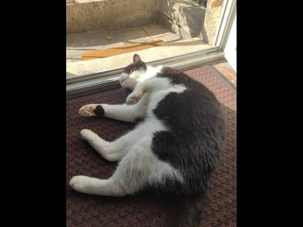 Sous-location / Maison 4 pièces de 75 m², Bordeaux, Impasse Toussaint Louverture / Photo 2