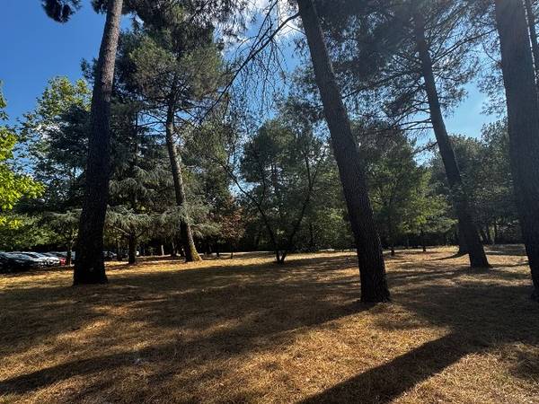 Colocation / Appartement 6 pièces de 120 m², Pessac, Avenue du Pontet / Photo 21