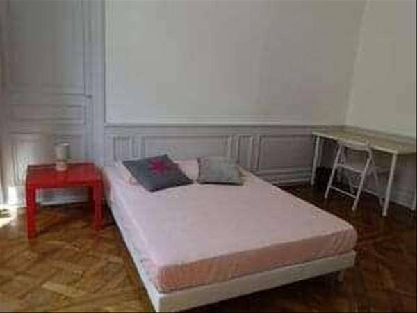 Colocation / Appartement 5 pièces de 125 m², Lyon, Rue du Plat / Photo 2