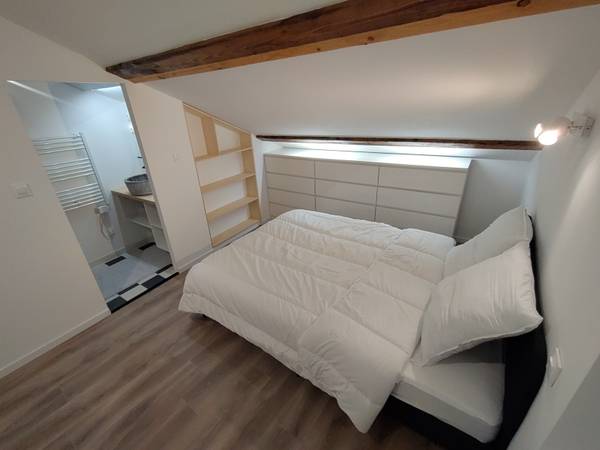 Colocation / Appartement 6 pièces de 105 m², Caluire-et-Cuire, Montée de l'Église / Photo 4