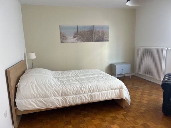 Colocation / Appartement 2 pièces de 66 m², Strasbourg, Rue Saint-Urbain / Photo 2