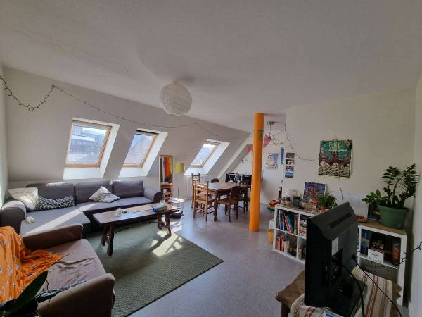 Colocation / Appartement 6 pièces de 100 m², Strasbourg, Rue Kageneck / Photo 2