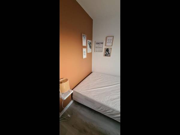 Colocation / Appartement 7 pièces de 117 m², Brest, Rue Général Changarnier / Photo 6