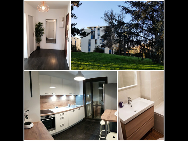 Colocation / Appartement 4 pièces de 75 m², Toulouse / Photo 7