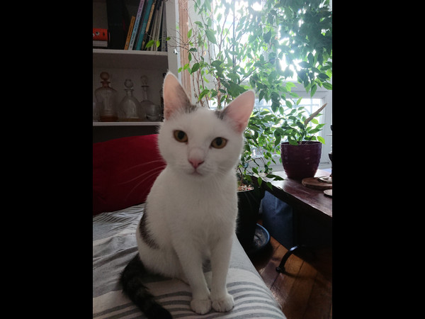 Colocation / Appartement 3 pièces de 53 m², Paris, Rue du Château Landon / Photo 17