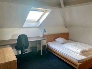 Colocation / Appartement 7 pièces de 150 m², Palaiseau, Boulevard Joseph Bara