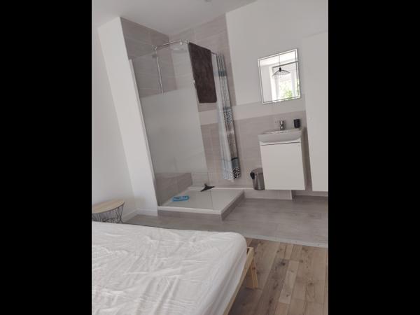Colocation / Appartement 4 pièces de 105 m², Saint-Étienne, Avenue de Rochetaillée / Photo 19