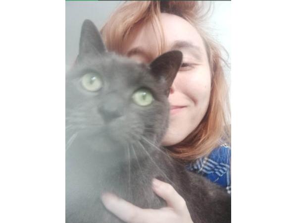 Sous-location / Maison 4 pièces de 90 m², Bordeaux, Rue Bauducheu / Photo 4