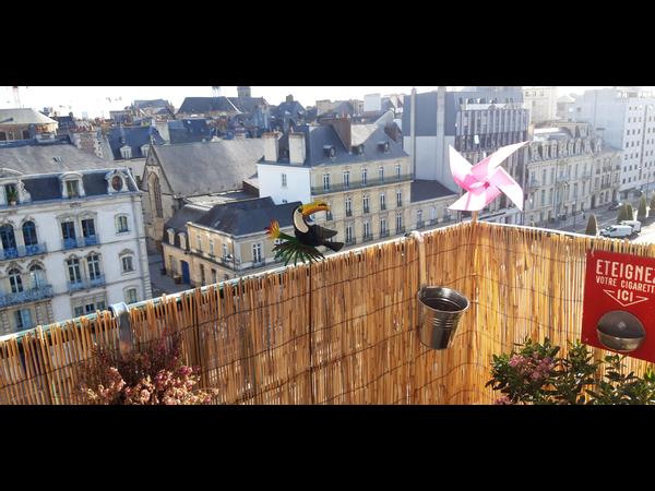 Colocation / Appartement 3 pièces de 78 m², Rennes, Quai Lamennais / Photo 2