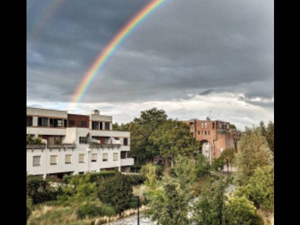 Colocation / Appartement 3 pièces de 78 m², Guyancourt, Place de la Fraternité / Photo 14