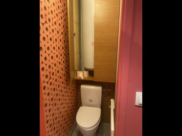 Colocation / Appartement 3 pièces de 70 m², Grenoble, Rue Général Ferrié / Photo 10