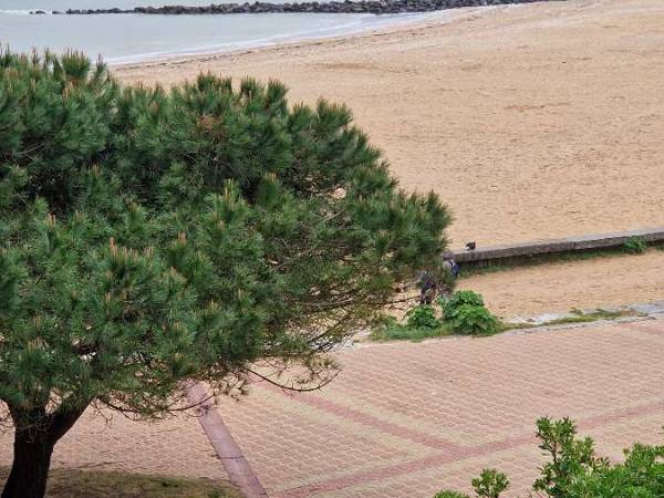 Coliving / Appartement 3 pièces de 55 m², La Rochelle, Rue de la Gloire / Photo 2