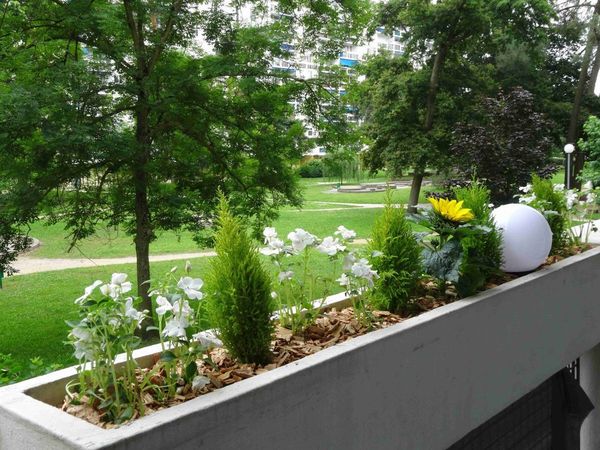Colocation / Appartement 4 pièces de 76 m², Mérignac / Photo 5