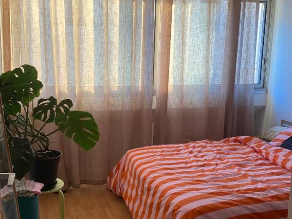 Sous-location / Appartement 3 pièces de 40 m², Montpellier, Rue du Faubourg Boutonnet / Photo 2