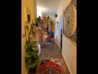 Colocation / Appartement 7 pièces de 144 m², Lyon, Rue de Marseille