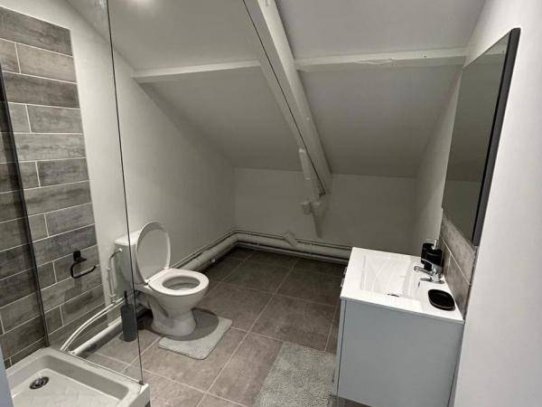 Chambre chez l'habitant / Appartement 1 pièce de 25 m², Choisy-le-Roi, Quai de Choisy / Photo 2