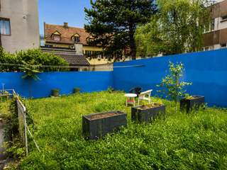 Colocation, Appartement 4 pièces, Strasbourg