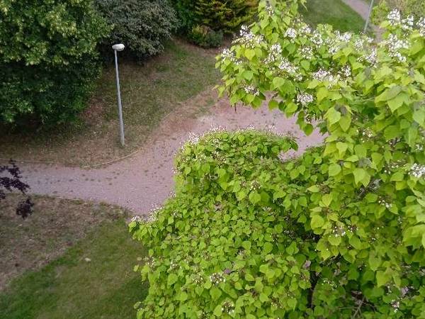 Colocation / Appartement 5 pièces de 70 m², Cholet, Rue Albert Calmette / Photo 8