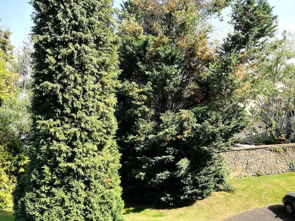 Colocation / Appartement 4 pièces de 67 m², Limoges, Boulevard des Petits Carmes / Photo 2