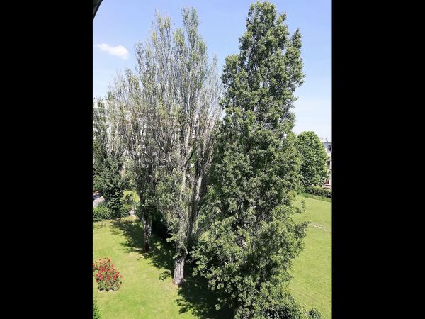 Colocation / Appartement 3 pièces de 66 m², Drancy, Allée des Bouvreuils / Photo 9