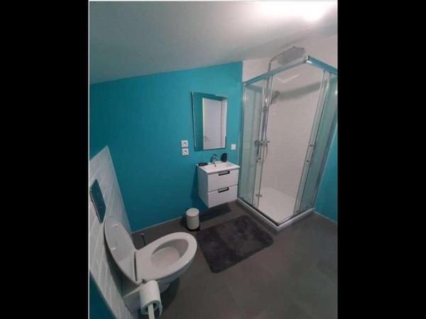 Colocation / Maison 6 pièces de 108 m², Rouen, Rue du Mont Gargan / Photo 12