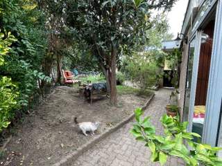 Sous-location / Maison 5 pièces de 80 m², Toulouse, Rue Emile Lecrivain