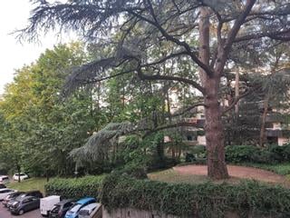 Colocation, Appartement 5 pièces, Lyon