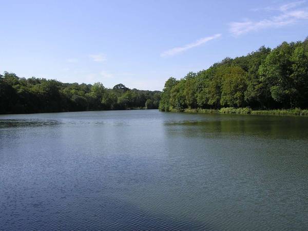 Colocation / Maison 8 pièces de 120 m², Guyancourt, Sente de la Vallée / Photo 6