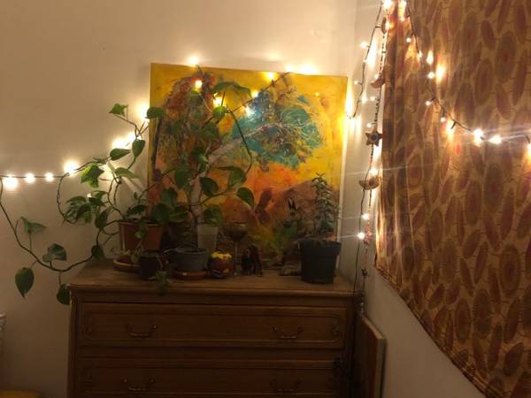 Sous-location / Duplex 5 pièces de 90 m², Strasbourg, Rue des Orchidées / Photo 2